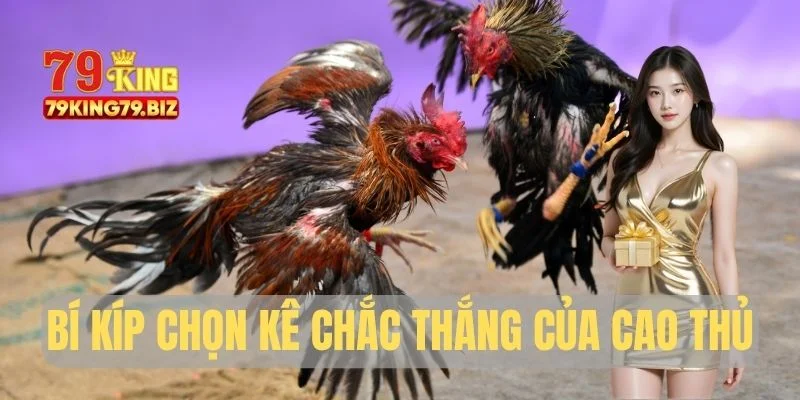 Bí kíp chọn kê chắc thắng của cao thủ