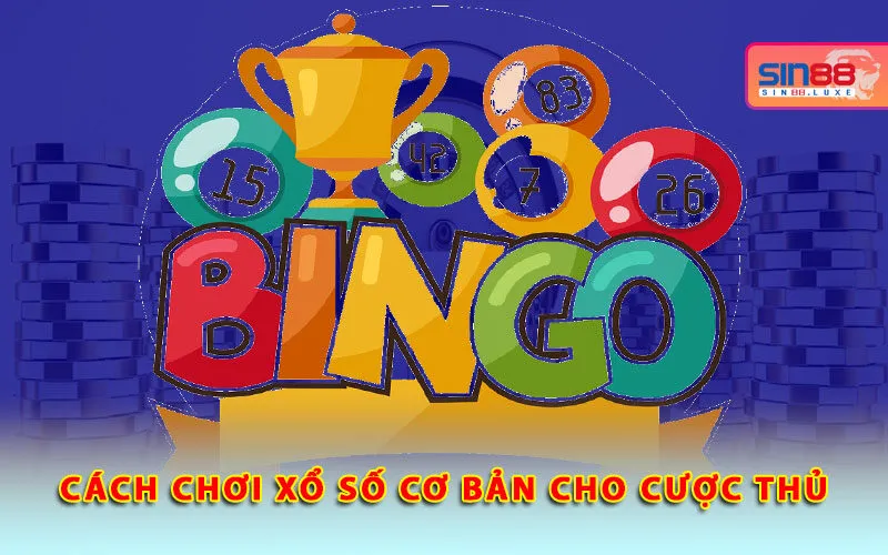 cach-choi-xo-so-co-ban-cho-cuoc-thu